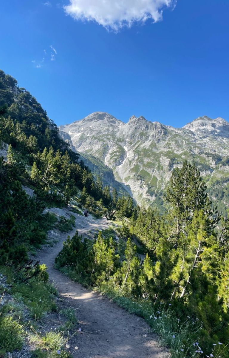 valbona